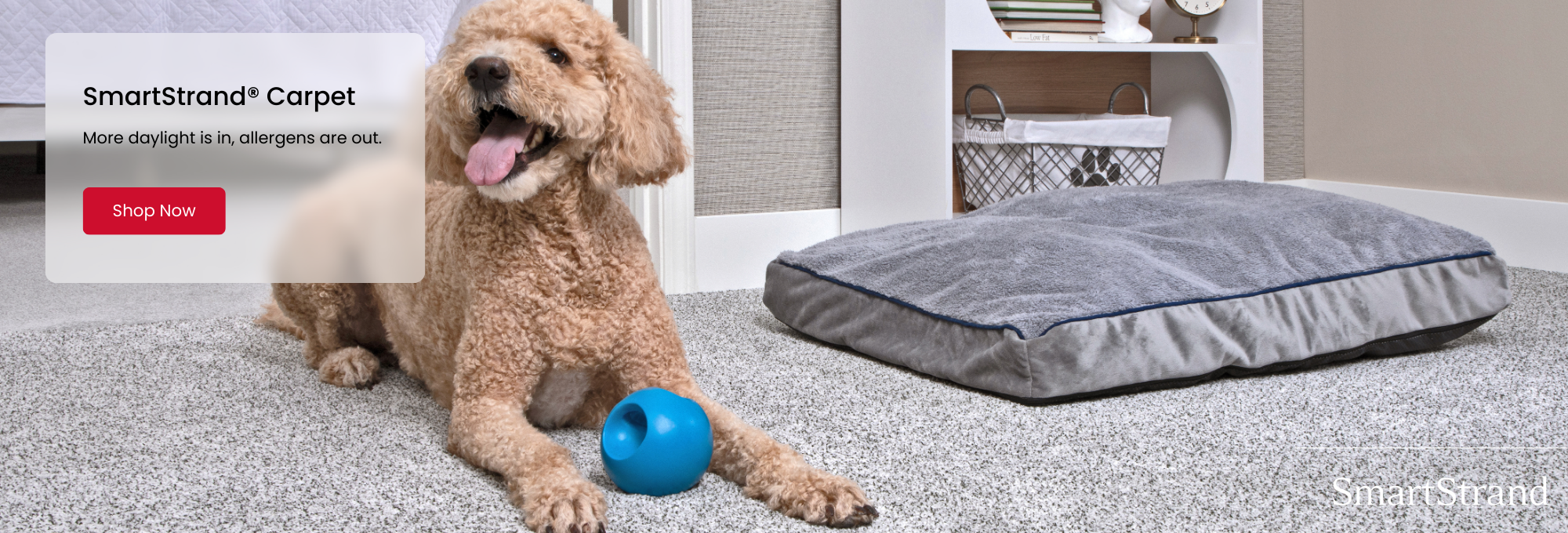 Browse SmartStrand products